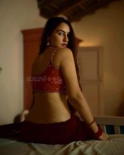 Tempting Beauty Megha Shukla in a Red Rust Sleeveless Blouse with a Dark Maroon Red Saree Skirt Pictures 05
