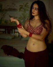 Tempting Beauty Megha Shukla in a Red Rust Sleeveless Blouse with a Dark Maroon Red Saree Skirt Pictures 07