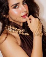 Vivacious Actress Roshni Walia in a Brown Halter Neck Top with Gold Stone Necklace Photos 02