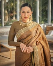 Elegant Karisma Kapoor in a Brown Saree Photos 02 Elegant Karisma Kapoor in a Brown Saree Photos 02