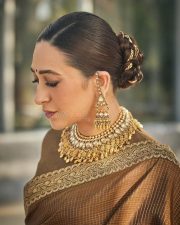 Elegant Karisma Kapoor in a Brown Saree Photos 03 Elegant Karisma Kapoor in a Brown Saree Photos 03