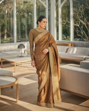 Elegant Karisma Kapoor in a Brown Saree Photos 04