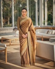 Elegant Karisma Kapoor in a Brown Saree Photos 05