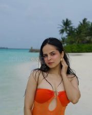 Hostages Actress Palak Sindhwani Bikini Pictures 02