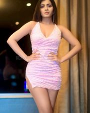 Marathi Actress Ruchira Jadhav in a Pink Mini Bodycon Dress Photos 04