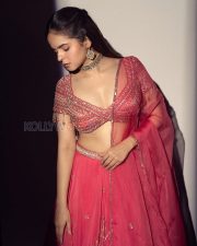 Mesmerizing Actress Palak Sindhwani in a Pink Ombre Embellished Lehenga Photos 04