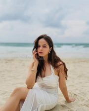 Radiant Actress Palak Sindhwani in a Cream and Gold Saree Photos 04
