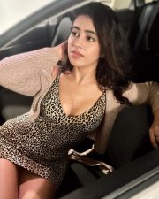 Sexy Shobhita Rana Deep Cleavage in a Printed Mini Dress Photos 04