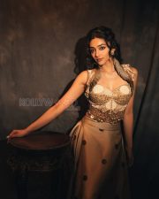 Sophisticated Actress Preity Mukundan in a Gold Embroidered Bustier with Ruffled Collar Photos 03 Sophisticated Actress Preity Mukundan in a Gold Embroidered Bustier with Ruffled Collar Photos 03
