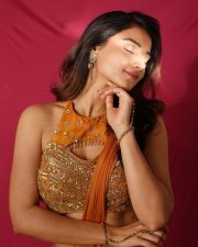 Striking Actress Prisha Singh in a Shimmering Bronze and Beige Ensemble Photos 01