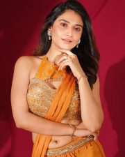 Striking Actress Prisha Singh in a Shimmering Bronze and Beige Ensemble Photos 02