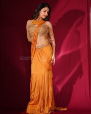 Striking Actress Prisha Singh in a Shimmering Bronze and Beige Ensemble Photos 08