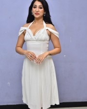 Actress Sahiba Bhasin at Average Student Nani Teaser Launch Pictures 07