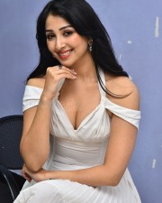Actress Sahiba Bhasin at Average Student Nani Teaser Launch Pictures 11