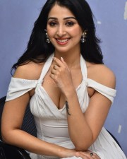 Actress Sahiba Bhasin at Average Student Nani Teaser Launch Pictures 15