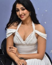 Actress Sahiba Bhasin at Average Student Nani Teaser Launch Pictures 17