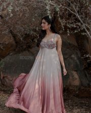 Bollywood Actress Bhagyashri Borse in an Ivory and Mauve Ombre Cocktail Gown Photos 04 Bollywood Actress Bhagyashri Borse in an Ivory and Mauve Ombre Cocktail Gown Photos 04