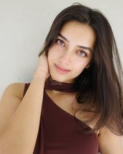 Captivating Actress Bhagyashri Borse in a Maroon One Shoulder Draped Dress Photos 01 Captivating Actress Bhagyashri Borse in a Maroon One Shoulder Draped Dress Photos 01