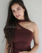 Captivating Actress Bhagyashri Borse in a Maroon One Shoulder Draped Dress Photos 03 Captivating Actress Bhagyashri Borse in a Maroon One Shoulder Draped Dress Photos 03