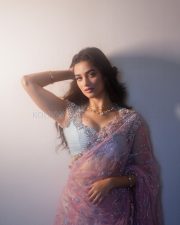 Glamorous Actress Bhagyashree Borse in a Pink Silver Embellished Saree Photos 04