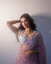 Glamorous Actress Bhagyashree Borse in a Pink Silver Embellished Saree Photos 04