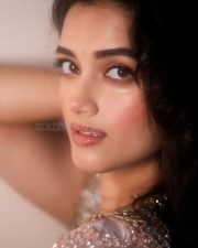 Glamorous Actress Bhagyashree Borse in a Pink Silver Embellished Saree Photos 08