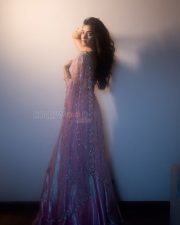 Glamorous Actress Bhagyashree Borse in a Pink Silver Embellished Saree Photos 09