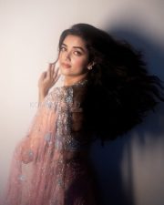 Glamorous Actress Bhagyashree Borse in a Pink Silver Embellished Saree Photos 11