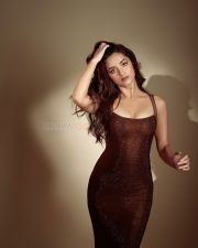 Glamorous Actress Bhagyashri Borse in a Brown Glitter Bodycon Gown Photos 03