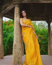 Radiant Actress Bhagyashri Borse in a Yellow Embroidered Saree Photos 01