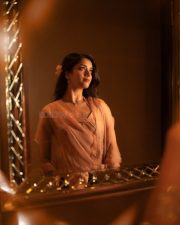 Stunning Bhagyashri Borse in a Peach Organza Saree Pictures 01 Stunning Bhagyashri Borse in a Peach Organza Saree Pictures 01