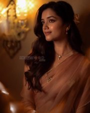 Stunning Bhagyashri Borse in a Peach Organza Saree Pictures 04