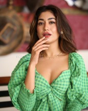 Telugu Actress Sneha Malviya at Average Student Nani Movie Interview Photos 30