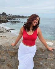 Beautiful Jiya Shankar in a Red Sleeveless Crop Top and White Skirt Pictures 01