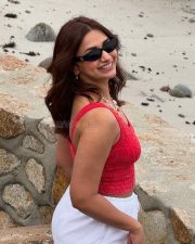 Beautiful Jiya Shankar in a Red Sleeveless Crop Top and White Skirt Pictures 07