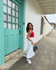 Beautiful Jiya Shankar in a Red Sleeveless Crop Top and White Skirt Pictures 08