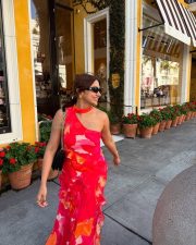 Vibrant Beauty Jiya Shankar in a Red Floral Printed Maxi Dress Photos 07