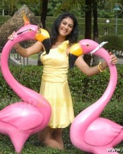 Actress Kamna Jethmalani Pictures 32 Actress Kamna Jethmalani Pictures 32