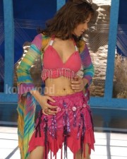 Actress Nisha Kothari Sexy Photos 10
