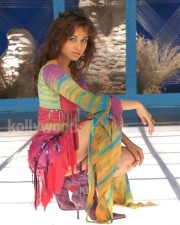 Actress Nisha Kothari Sexy Photos 14