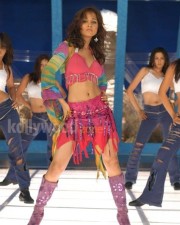 Actress Nisha Kothari Sexy Photos 24