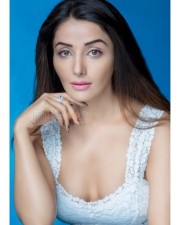 Actress Sonia Mann Sexy Photoshoot Pictures 31