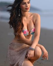 Glamorous Sonali Raut Bikini Pictures 03