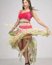 Harika Payal Ghosh Hot Pictures 02