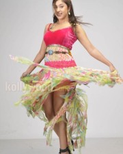 Harika Payal Ghosh Hot Pictures 02