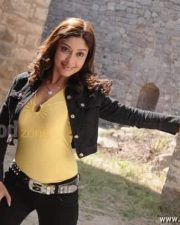 Harika Payal Ghosh Hot Pictures 08