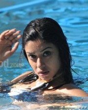 Harika Payal Ghosh Hot Pictures 23