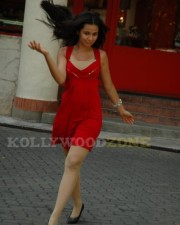 Hot Nisha Kothari Pictures 01 Hot Nisha Kothari Pictures 01