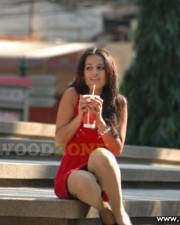 Hot Nisha Kothari Pictures 05 Hot Nisha Kothari Pictures 05