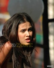 Hot Nisha Kothari Pictures 21 Hot Nisha Kothari Pictures 21